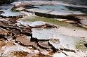 A007 Yellowstone N.P.Mammoth Hot Springs